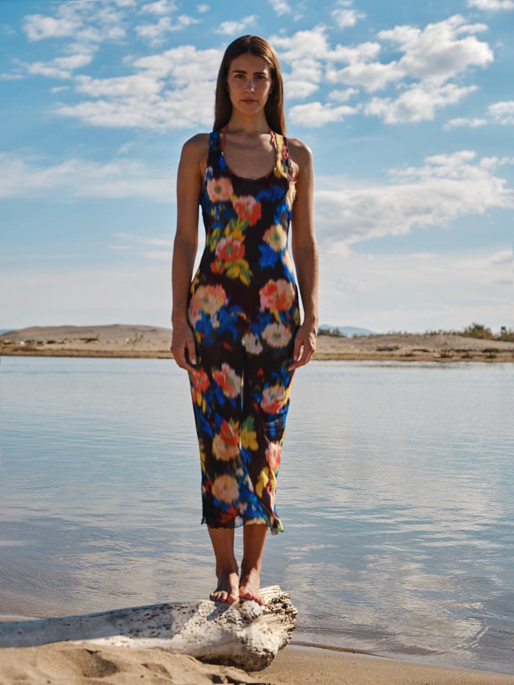 Damask Rose Mesh Dress