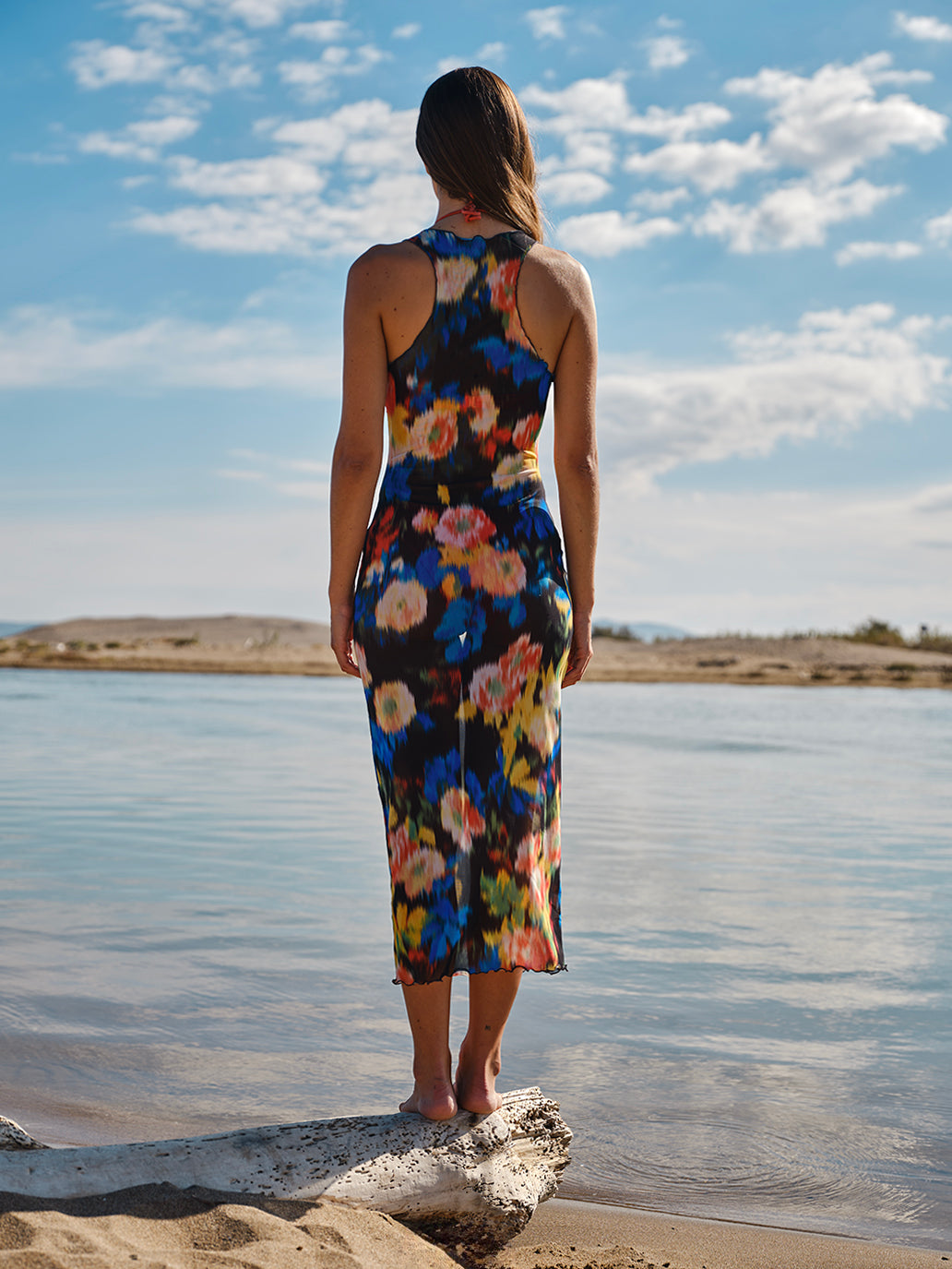 Damask Rose Mesh Dress